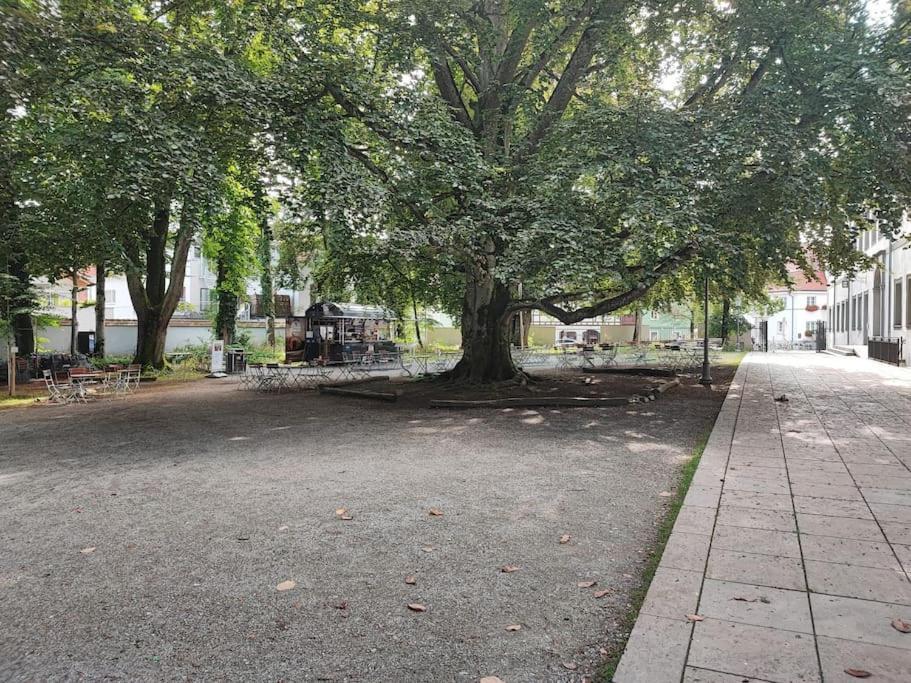 -Stadthaus Ida- Mit Grosser Dachterasse, Am Schlosspark, Luftkurort Kisslegg, Boxspringbetten, Kaffeevollautomat, Smarttv, Familienfreundlich, Grosszuegig, Zentral Εξωτερικό φωτογραφία