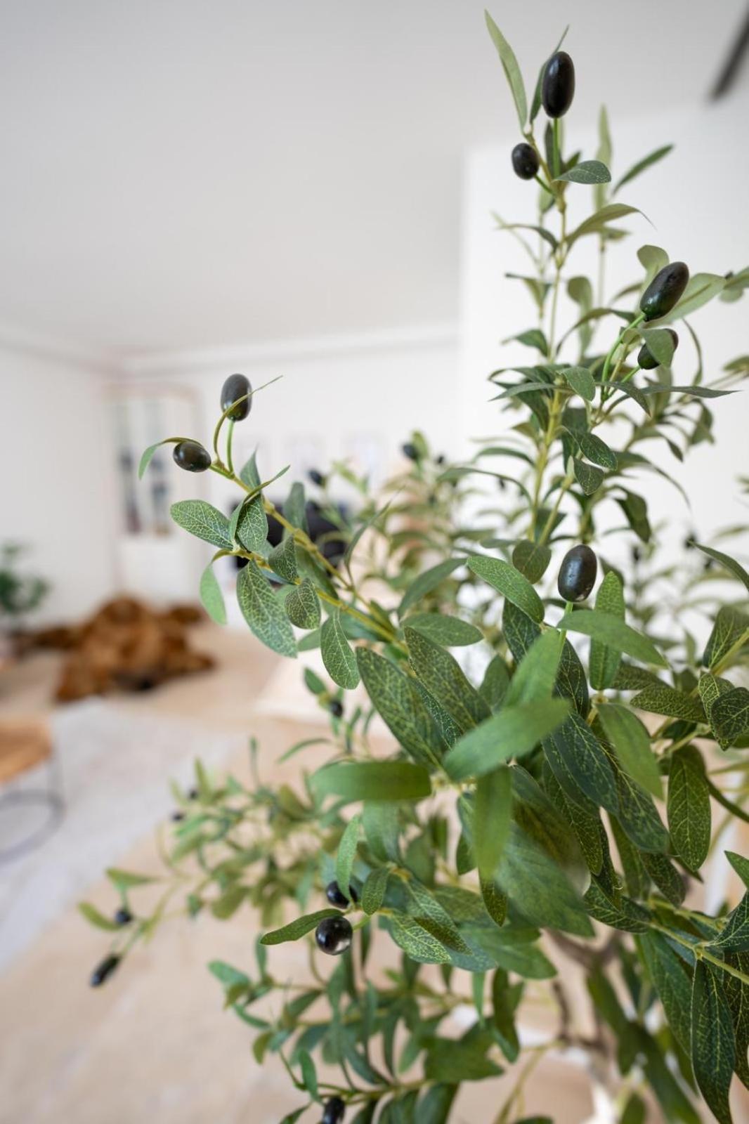 -Stadthaus Ida- Mit Grosser Dachterasse, Am Schlosspark, Luftkurort Kisslegg, Boxspringbetten, Kaffeevollautomat, Smarttv, Familienfreundlich, Grosszuegig, Zentral Εξωτερικό φωτογραφία